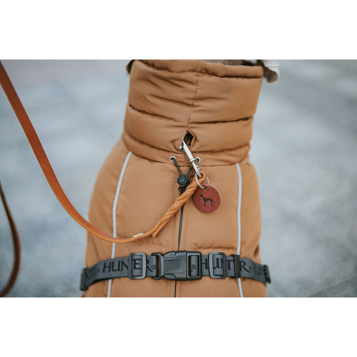 Vêtements pour animaux de compagnie Hunter PAXSON Marron Polyester